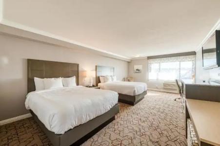 Amanzi, Ascend Collection - 32