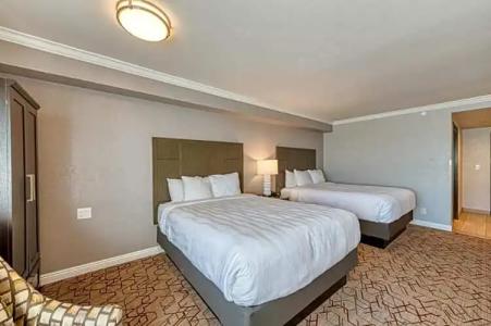 Amanzi, Ascend Collection - 102