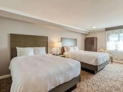 Amanzi, Ascend Collection - 73