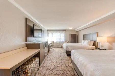 Amanzi, Ascend Collection - 35