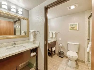 Amanzi, Ascend Collection - 81