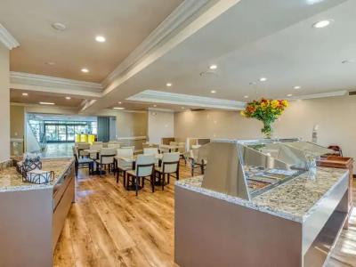 Amanzi, Ascend Collection - 24