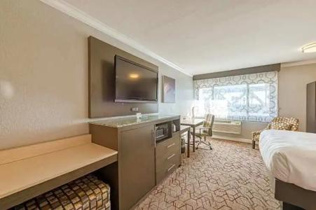 Amanzi, Ascend Collection - 105