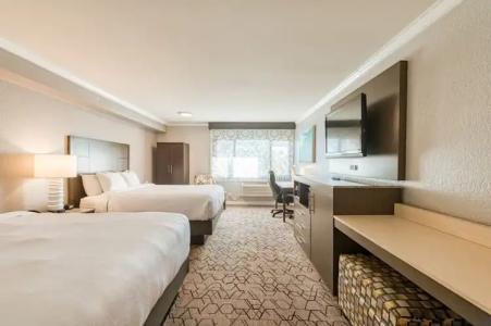 Amanzi, Ascend Collection - 92