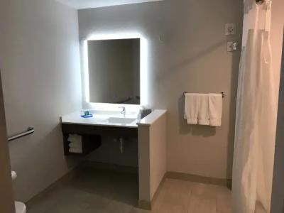 Holiday Inn Express Orlando - South Davenport, an IHG - 8
