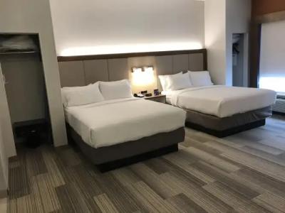 Holiday Inn Express Orlando - South Davenport, an IHG - 4