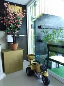 The Elegant Patong - 8