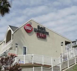 Best Western Plus Marina Shores