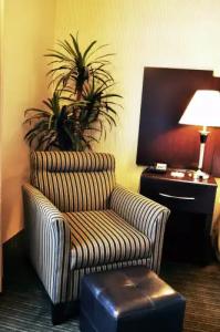 Best Western Plus Dana Point Inn-by-the-Sea - 13