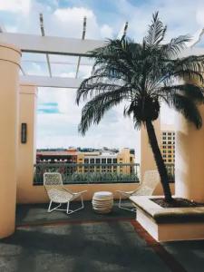 Colonnade Coral Gables, Autograph Collection - 40