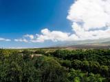 1 Bedroom Double Suite with garden view