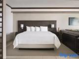 Double Junior Suite with balcony and with ocean view