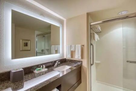 Holiday Inn & Suites Atlanta Airport North, an IHG - 7