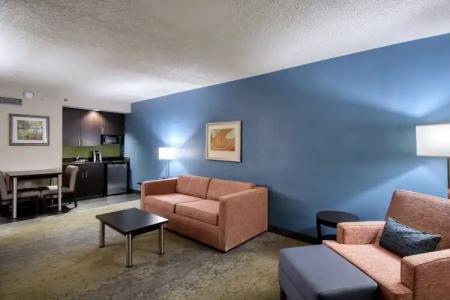 Holiday Inn & Suites Atlanta Airport North, an IHG - 6