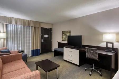 Holiday Inn & Suites Atlanta Airport North, an IHG - 3