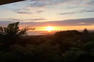 Ohana Pua Hale, Aloha Kona