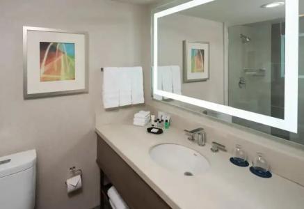 Sheraton Dallas by the Galleria - 30