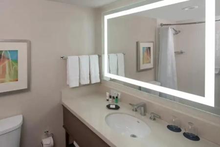 Sheraton Dallas by the Galleria - 22