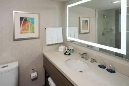 Sheraton Dallas by the Galleria - 55