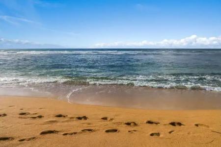 Aston Islander On The Beach - 15