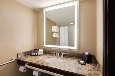 Sheraton Orlando North - 124