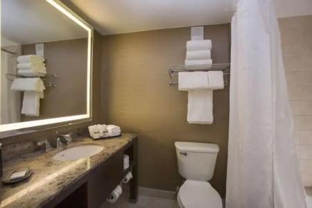 Sheraton Orlando North - 119