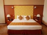 Executive Double Suite