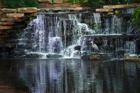 Sawgrass Marriott Golf Resort & Spa - 24