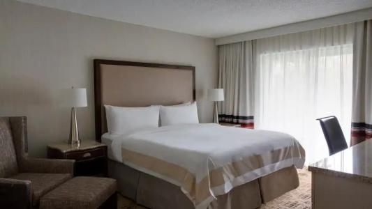 Sawgrass Marriott Golf Resort & Spa - 6