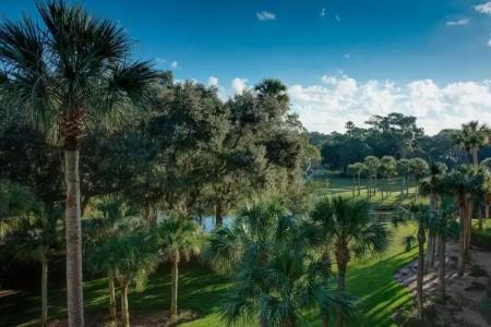 Sawgrass Marriott Golf Resort & Spa - 79