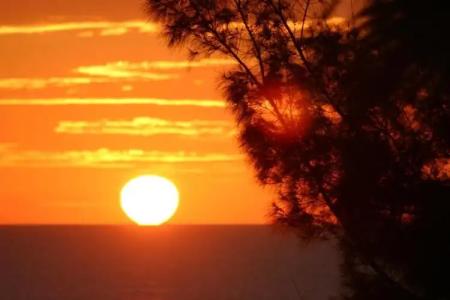 Silver Surf Gulf Beach Resort - 21