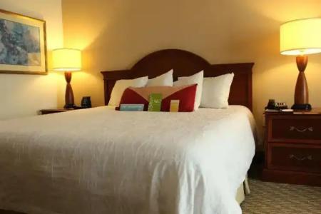 Hilton Garden Inn Charlotte Pineville - 65