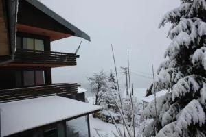 Guest House Daskalov, Gabrovo