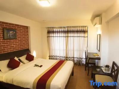 Himalayan Villa - 21