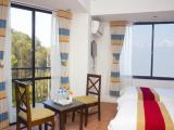 Deluxe Double room with mountain view