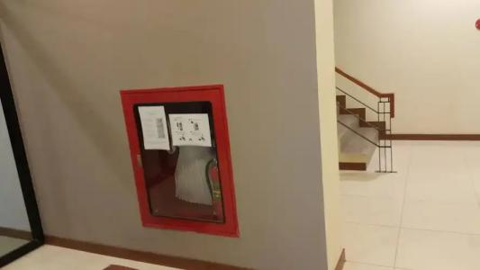 Bird Day Boutique - 13