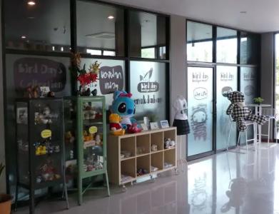 Bird Day Boutique - 18