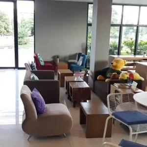 Bird Day Boutique - 6