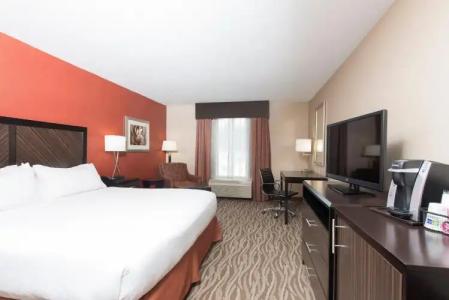 Holiday Inn Express & Suites Grand Rapids-North, an IHG - 4