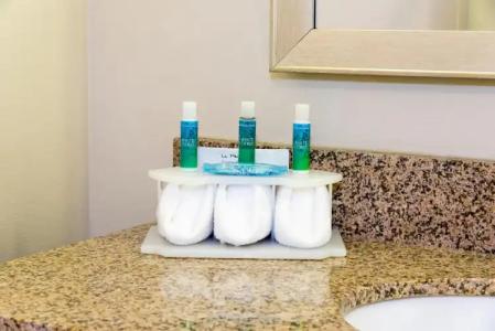 Holiday Inn Express & Suites Grand Rapids-North, an IHG - 8