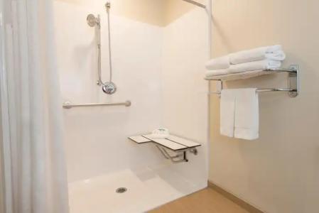 Holiday Inn Express & Suites Grand Rapids-North, an IHG - 25