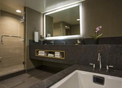 Hyatt Regency Lake Tahoe Resort, Spa & Casino - 43