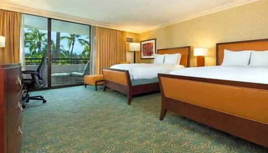 Hilton Waikoloa Village - 229