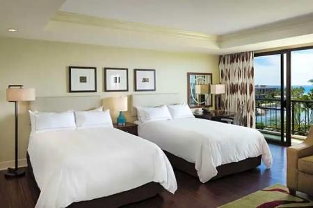 Hilton Waikoloa Village - 247