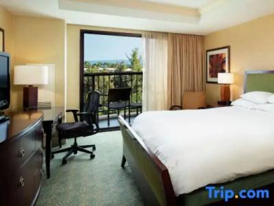 Hilton Waikoloa Village - 221