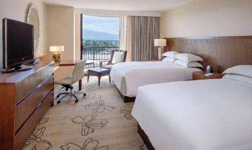 Hilton Waikoloa Village - 238