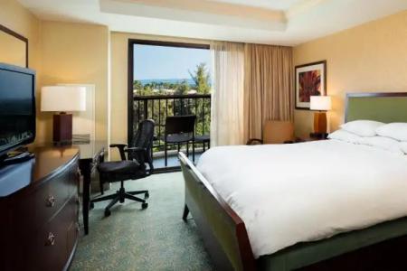 Hilton Waikoloa Village - 265