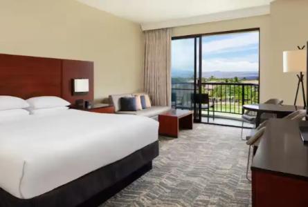 Hilton Waikoloa Village - 51