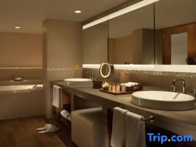 Hilton Waikoloa Village - 209