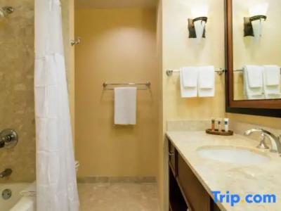 Hilton Waikoloa Village - 224